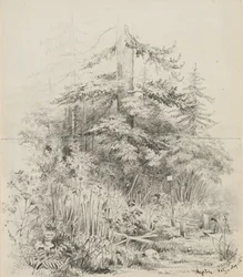 Miejsce pochówku Indian, Oregon, 1841 (grafit na dwóch zszytych kartkach szkicownika na kremowym papierze tkanym)