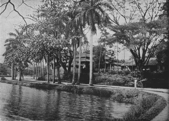 Kandy - Malowniczy zakątek jeziora, c1890, 1910