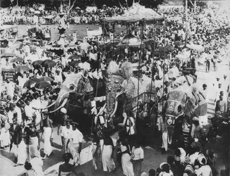 Święty słoń w procesji Perahera, Kandy, Cejlon, c1890, 1910