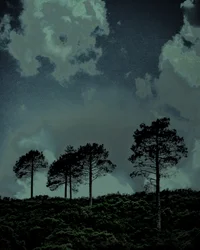 Last Light, 2018 (ręcznie malowane zdjęcie)