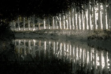 Rendering, 2018 (ręcznie malowane zdjęcie)