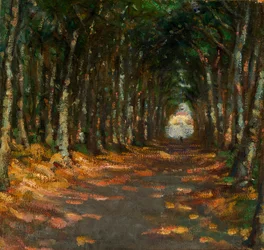 Aleja w Parku, ca. 1906.