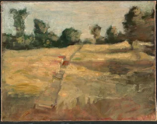 Pole, ca. 1892.