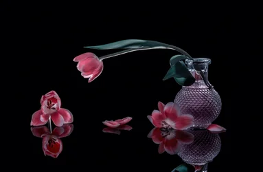 Eleganckie różowe tulipany