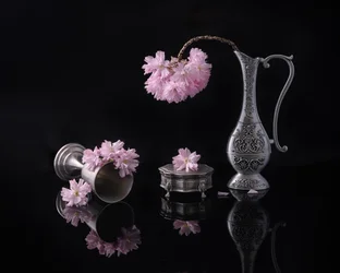 Srebro i sakura