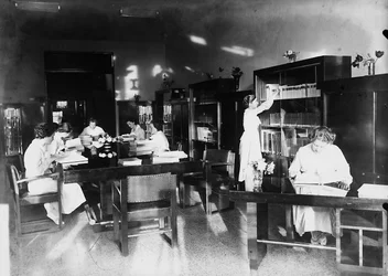 Villa Rosa Maltoni Mussolini: nauka w bibliotece (zdjęcie czarno-białe)