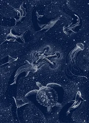 Astronauta Ocean Stars
