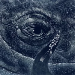 Spotkanie z wielorybami w głębinach oceanu