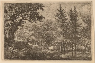 Jodła nad wodą