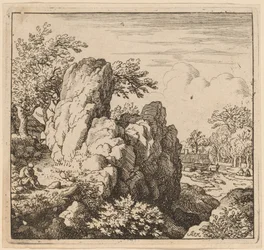 Duży kamień