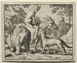Reynard Lis