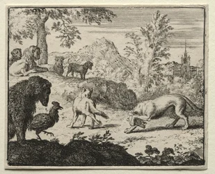 Reynard the Fox: Walka między Reynardem a Wilkiem.