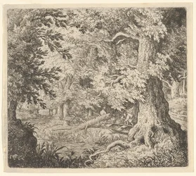 Potok w lesie, XVII wiek.