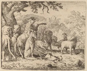 Baran Błogosławi Reynard, prawdopodobnie ok. 16451656.