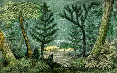 Prehistoria, okres węgla: Marecage i wiertło okresu węgla (J. Rrengade)