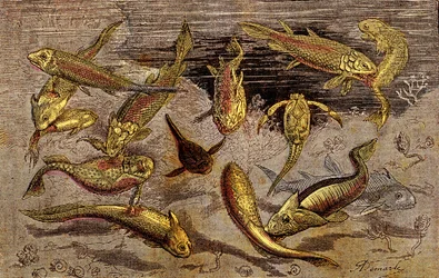 Czasy dewonu (prehistoria) Istoty żywe: Walka o istnienie istot żywych. Naturalne stworzenie. Rysunek A. Demarle. 1885