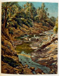 Ilustracja Dinet z „Mirages” Sceny z życia Arabów. 1906. Mirages, Scénes De La Vie Arab został zilustrowany przez Etienne Dinet z komentarzem Silmana Ben Ibrahima Bamera. Nasreddine Dinet urodził się jako Alphonse-Étienne Dinet; (1861-1929) był francuskim 
