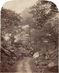 Fontainebleau, ok. 1860 r. (zdjęcie)