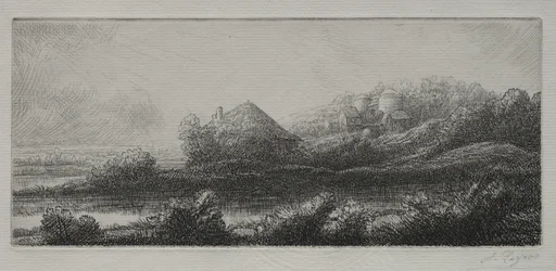 Domek na bagnach