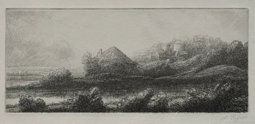 Domek na bagnach.
