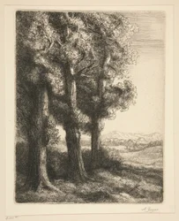 róg