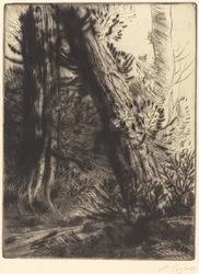 Brzeg potoku (Bord de ruisseau)