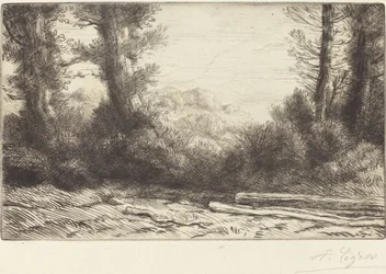 Edge of the Wood Lisiere de bois.