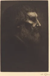 Głowa żebraka (Tete de mendiant)