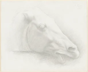 Głowa konia z Partenonu, 1898 r.