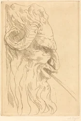 Głowa Satyra (Tete de satyre)