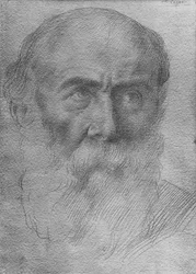 Głowa mężczyzny (złoty punkt na papierze)