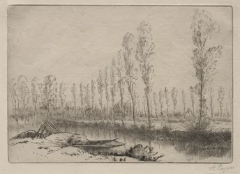 W pobliżu Amiens, torfowiska