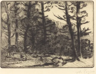 Woods in Winter Sun, 2. płyta Zimowe słońce w lesie.