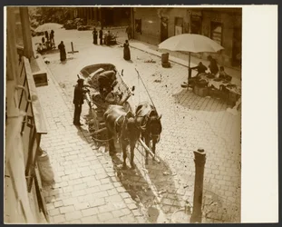 [Widok z okna mieszkania Muchy, w pobliżu Amalienstrasse, Monachium].