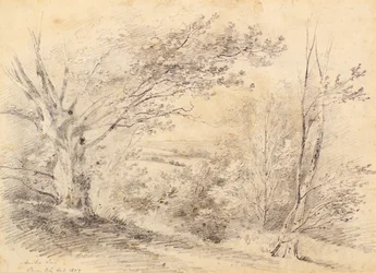Bromley Hill