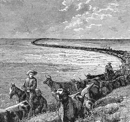 Szlak na wielkich równinach, ilustracja z „Harper