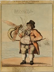 Osa bawiąca się, 1813 (akwaforta ręcznie kolorowana)