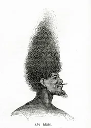 Api Man, ilustracja z Appletons Journal, 4 maja 1872 r.