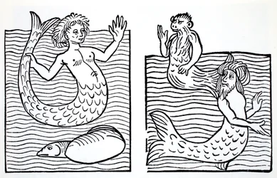 Syreny i trytony, z książki The World Guide to Gnomes, Fairies, Elves and Other Little People Thomasa Keightleya (1789-1872), opublikowanej w 1880 roku