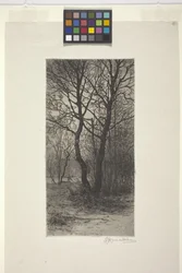 Ogród pałacowy Nymphenburg, niedaleko Monachium (akwaforta)