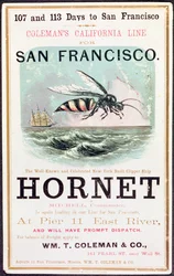 Plakat reklamujący kliper „Hornet” z Nowego Jorku do San Francisco