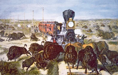 Pociąg pasażerów na Kansas Pacific Railroad, strzelanie do bawołów dla sportu w latach 70. XIX wieku (kolor lito)