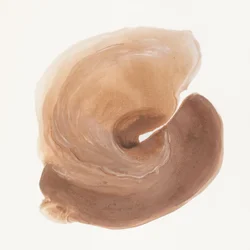 Organiczny brązowy wzór w wiry