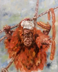 Zabawny kucharz-orangutan