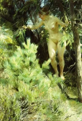 Drewno-Sprite, 1892
