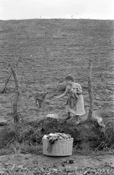 CROTONE COUNTRYSIDE - MAŁY PRACZ,