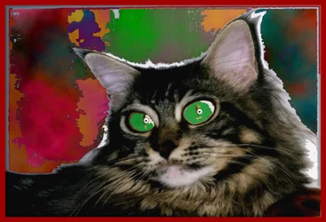STREGATTONE, 2004 (Obraz cyfrowy)