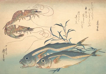 Aji Fish i Kuruma-ebi, z serii Uozukushi Every Variety of Fish, 1830., 1830.