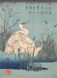 Czapla w Irysie i Trawach, ca. 1837., ca. 1837.