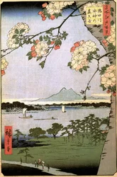 „Sto słynnych widoków Edo” (dzisiejsze Tokio): Lasy Massaki i Suijin nad brzegiem rzeki Sumida za gałęziami wiśni. Widok na miasto Tokio w Japonii. (Massaki i gaj Suijin nad rzeką Sumida (sto słynnych widoków E